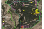 Výskyt jasoně v Milovickém lese Výskyt jasoně v Milovickém lese v roce 2006 (žlutě), 2017 (oranžově) a 2019 (červeně). Před deseti lety tu jasoň patřil k nejběžnějším motýlům. Dnes žije na poslední pasece a brzy nejspíš zmizí úplně. Zelenou čarou hranice evropsky významné lokality Milovický les, modrozelenou hranice obory a bílou hranice bloků, v nichž se těží. Fialově vytěžené plochy.