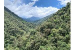 Cordillera View of the virgin forests of one of the studied mountain ranges in the Cordillera. Ecuador, South America. Photo: Nina Farwig.